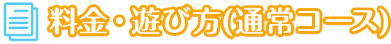 料金・遊び方(通常コース)